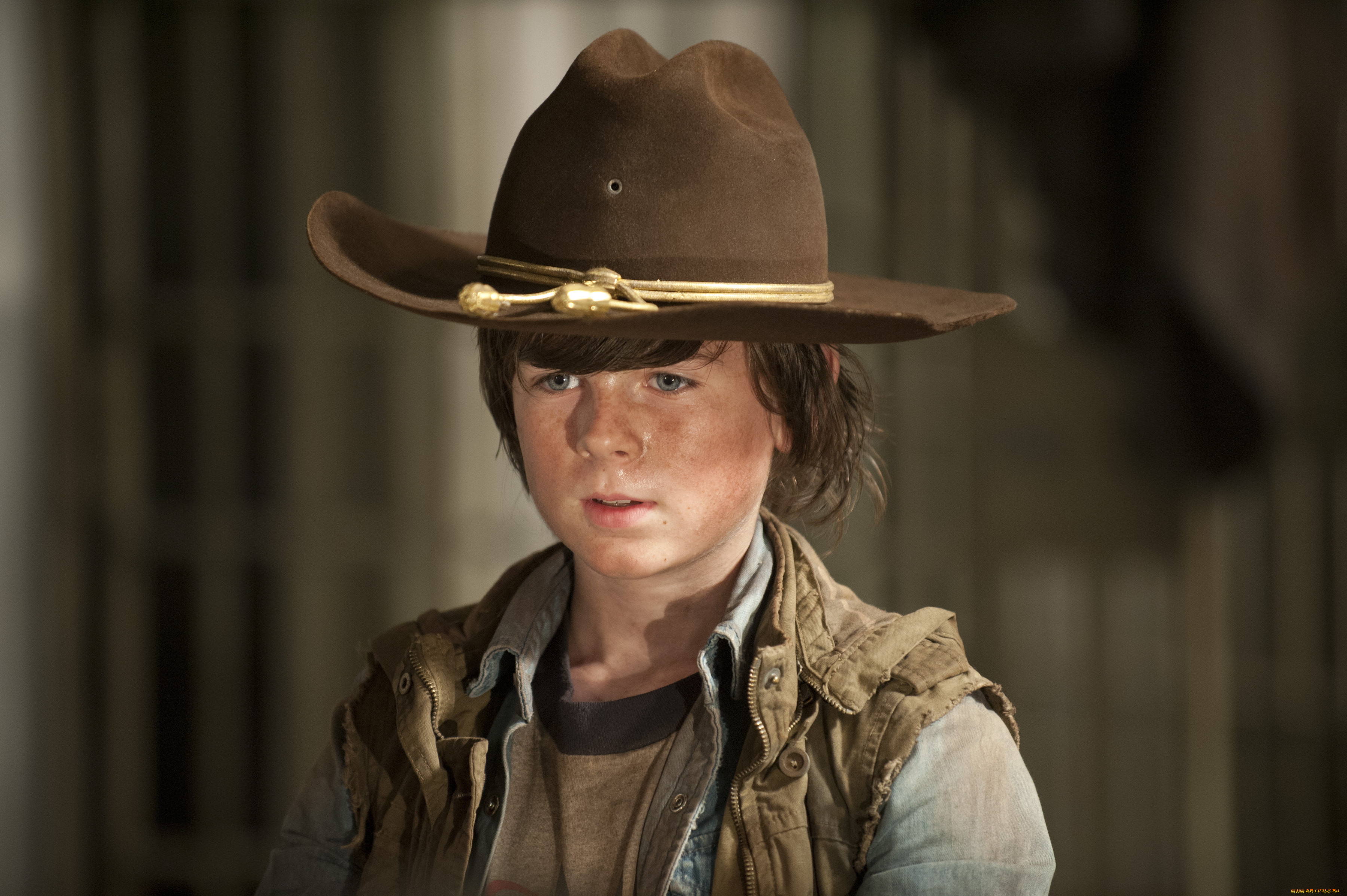  , the walking dead, , , , 